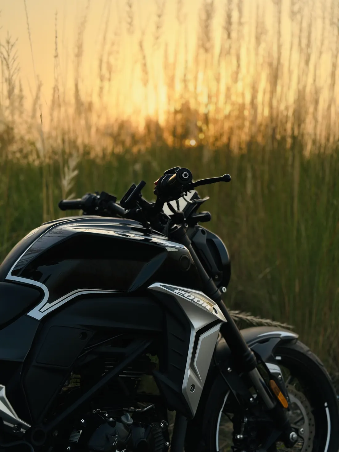 Close-up of the bike's tank against golden grass